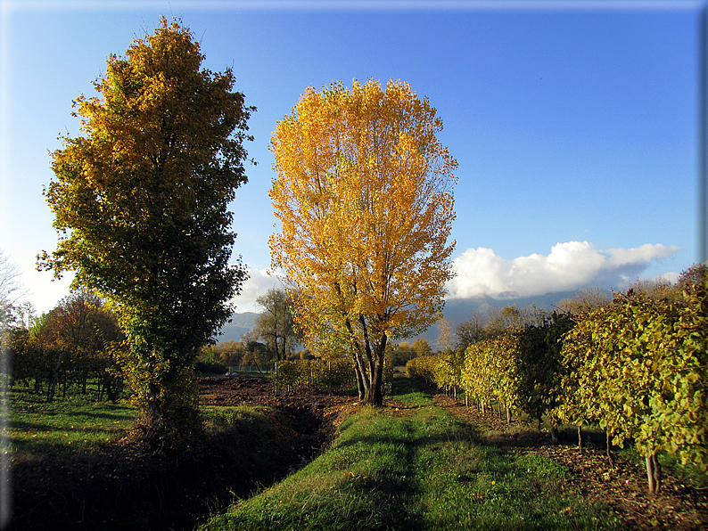 foto Paesaggi Autunnali tra le colline Fontesi